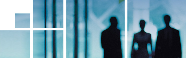 insync business consultin