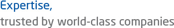 Expertise, trusted by world-class companies